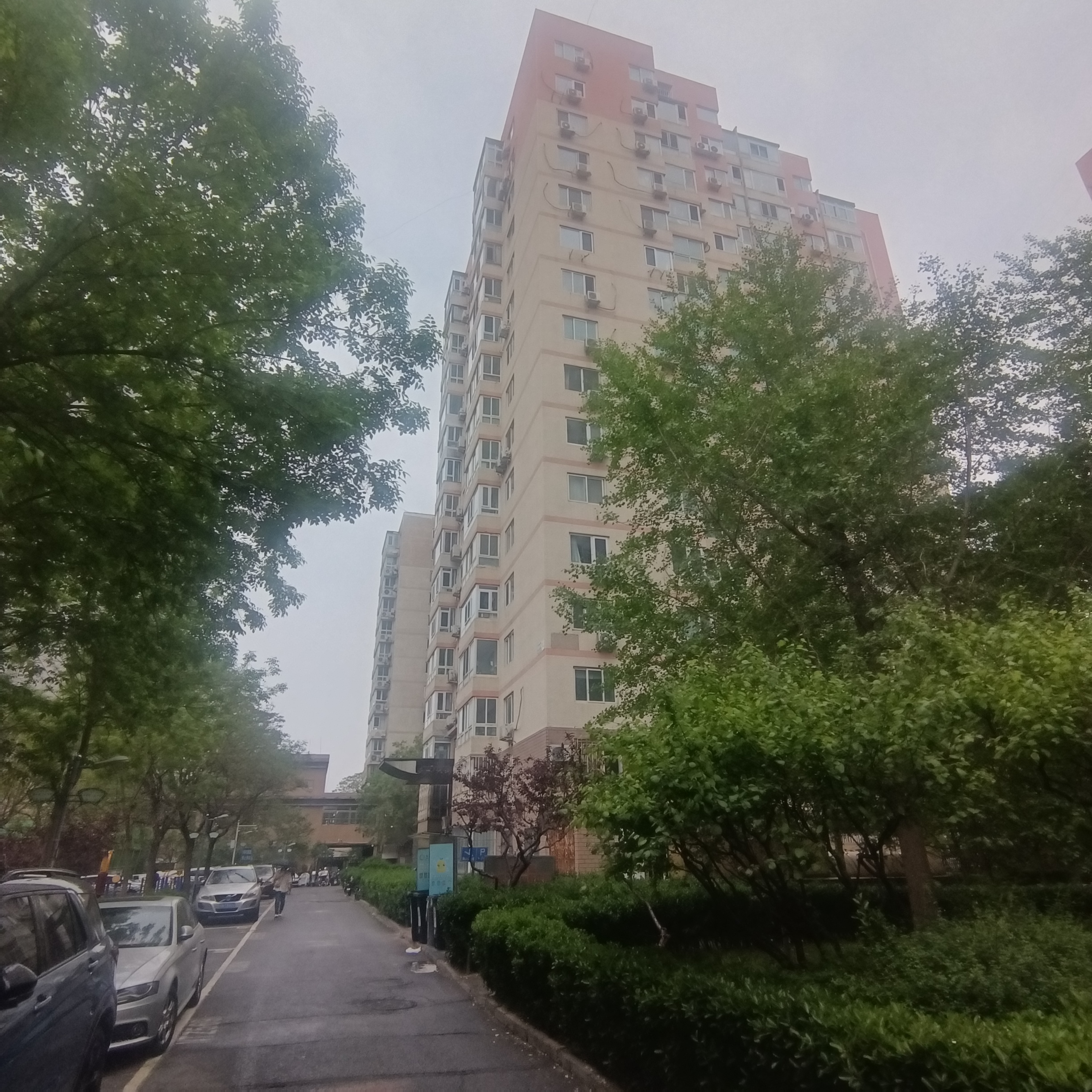 椿樹園小區(qū)12、14、17號樓6部電梯更新改造項目中標(biāo)喜訊